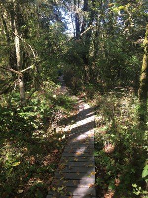 Camassia Nature trail