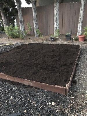 Filled my garden bed!