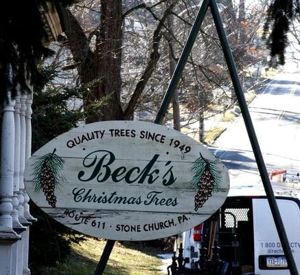 Beck's Christmas Trees