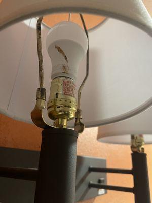 Poop smeared on the lightbulb.