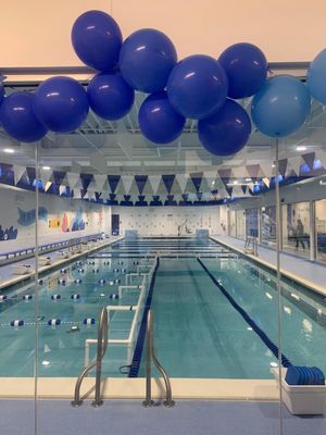 Paoli's state-of-the-art pool with ultra clean 90-degree water