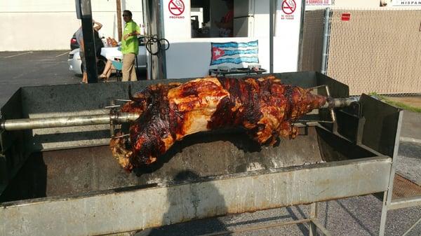 Whole roasted pig every Saturday!