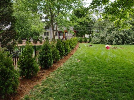 Trees, landscape installation, maintenance, irrigation. Give Us A Call Anytime.