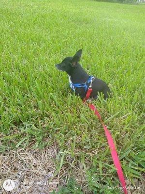 Taking in sights and smells after the rain