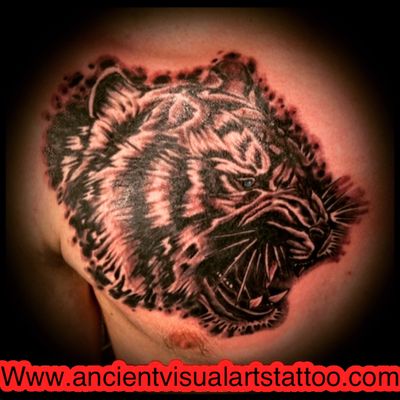 Black and grey tiger done by josh