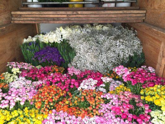 Sunrise Wholesale Flowers