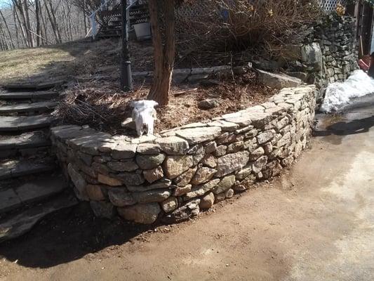 A dry stack new england field stone wall 