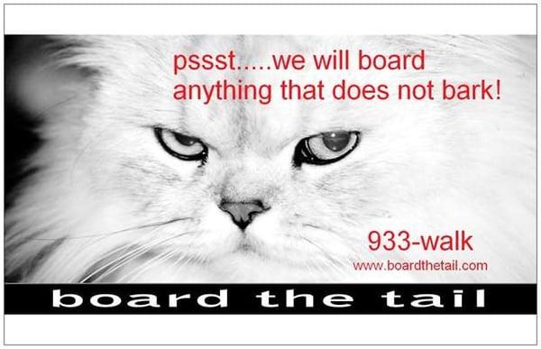 board the tail