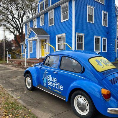 Blue Beetle Pest Control Services in Overland Park