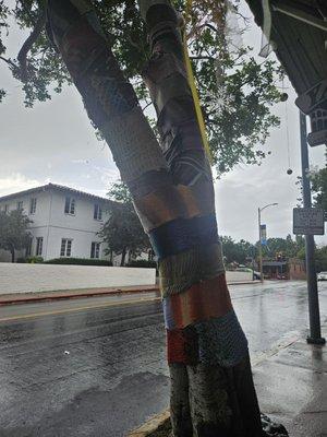 A tree in front with a yarn sweater wrapped around the trunk in various colors.