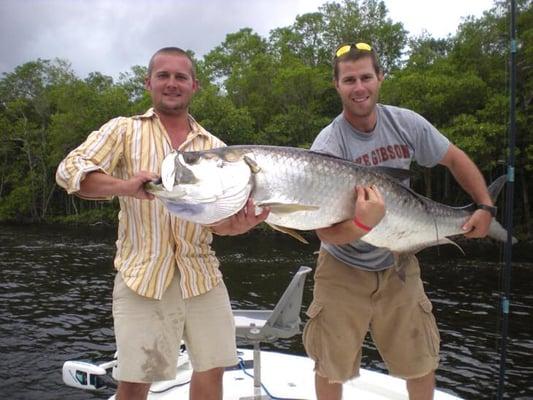 Tarpon