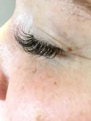 Set of classic lash extensions