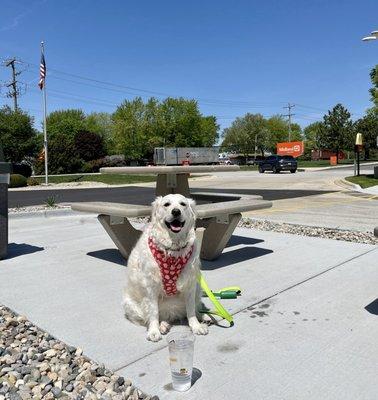 Patio for those puppy patrons!