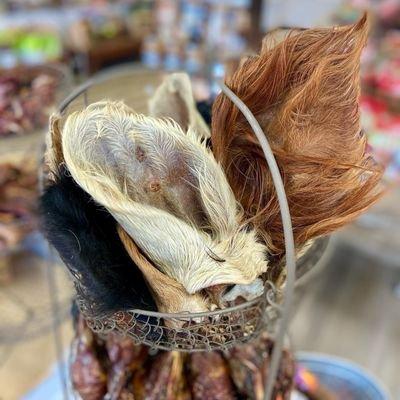 Dried Cow Ear