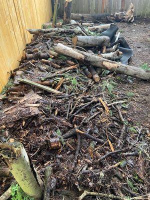 Yard debris clean up