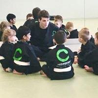 "Excellent Kids" martial arts classes for children ages 4-6