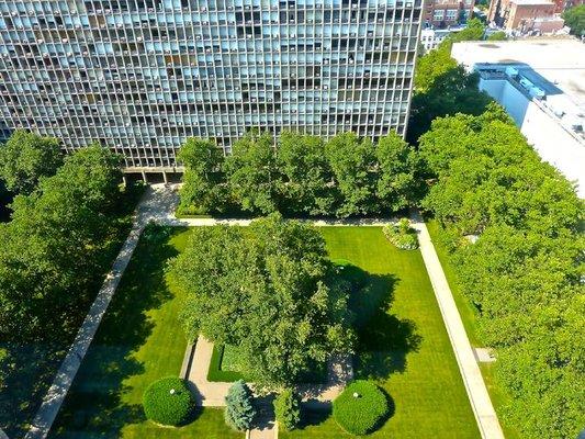 Aerial view of the garden