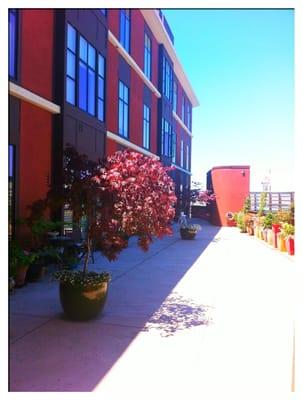 The deck where we have our building socials, read in the sun, look out at the bay/mountains.