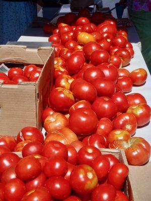 Tomatoes at the Farmers Market