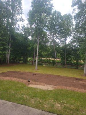 Here we renovated the yard by removing a previous Sod installation and placing new one.