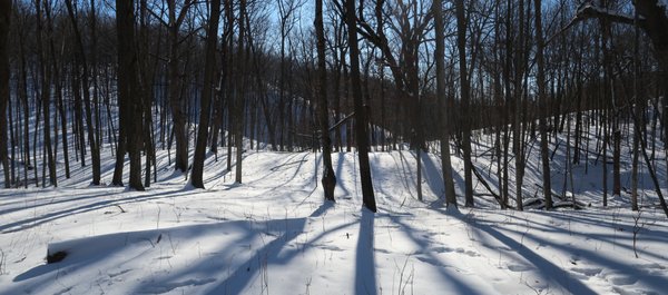 View from trail near Hwy 175.  1/9 2022