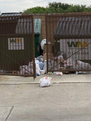 The trash dumpsters are empty yet people just throw their garbage on the ground..