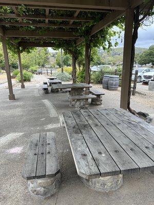 Grapevine covered picnic area