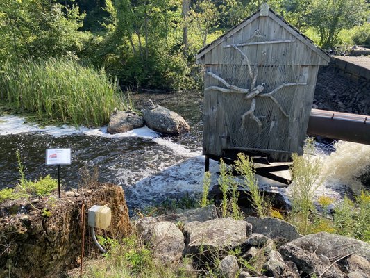 Old Frog Pond Farm