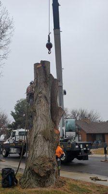 Large removal with crane Boise, ID