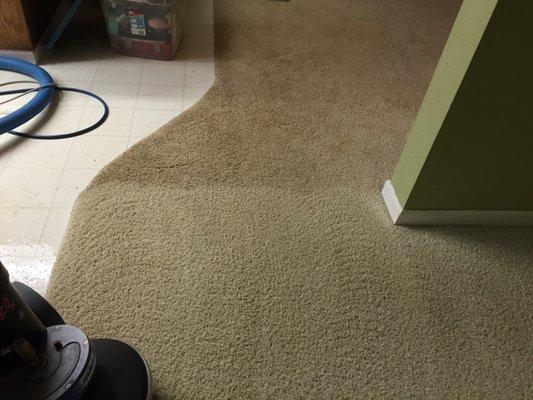 Residential carpet cleaning