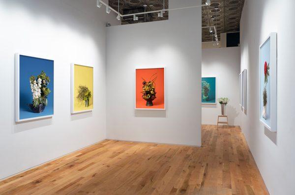 Ann Shelton, an exhibition of photographs at Denny Dimin Gallery in 2019.