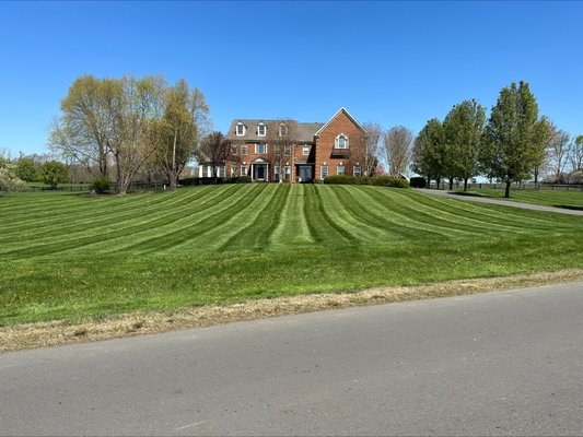 Beautiful lawn service