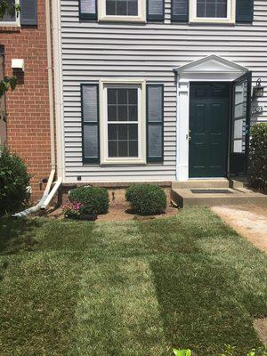 Freshly installed sod for a townhome.