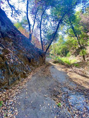 Pics from the new trails during their brief reopening back in mid 2021 - burn scars and new growth!