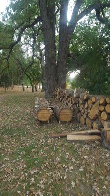 portable sawmilling service