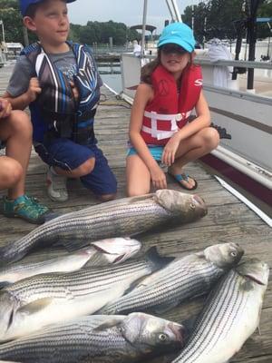 Pullin Drag Striper Fishing Guide