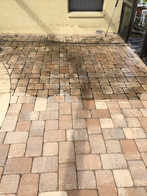 Paver Cleaning