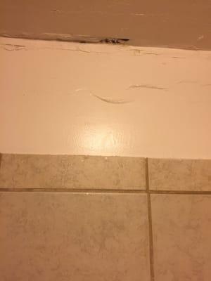 Mold in shower