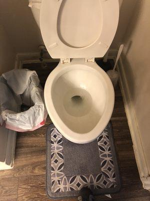 Cleaned and sanitized toilet