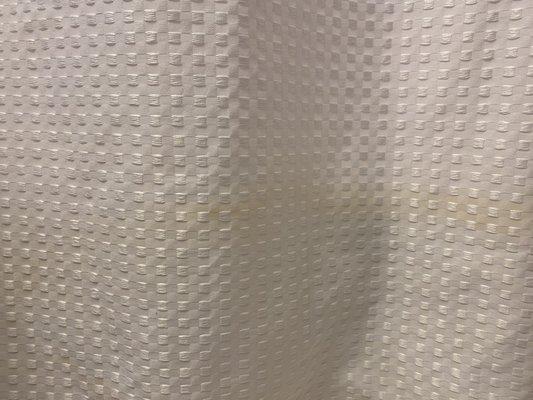 Mildew stains on shower curtain