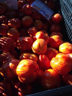 Pretty tomatoes!