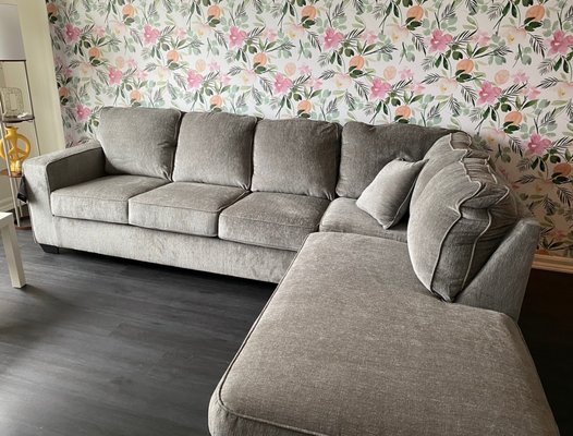 Light gray Ashley Signature sectional, I got this for $899 but it retails for $999! :)