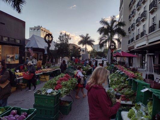 Sarasota Farmers Market