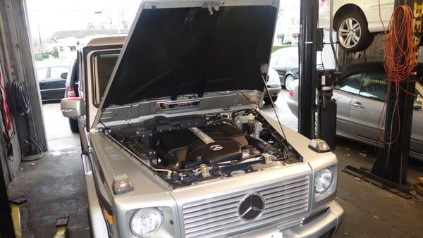 All types of Mercedes we work on