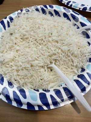 Plain Rice