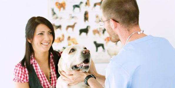 Oakhurst Grooming Salon