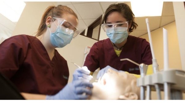 Dental Assistant Training