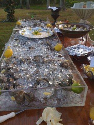 Fresh Gulf Oysters on the Half Shell