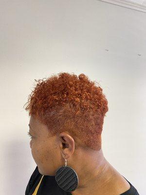 Copper Red Short Cut