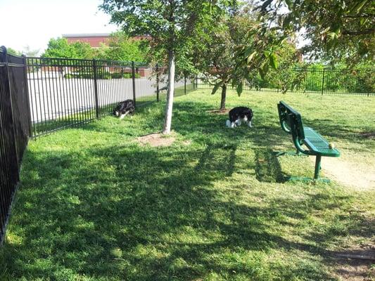 Benches in the shade for humans